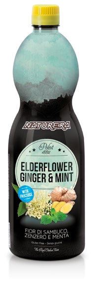 Elderflower, Ginger & Mint