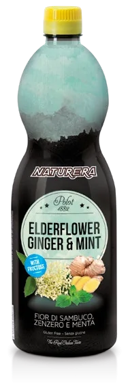 Elderflower, Ginger & Mint